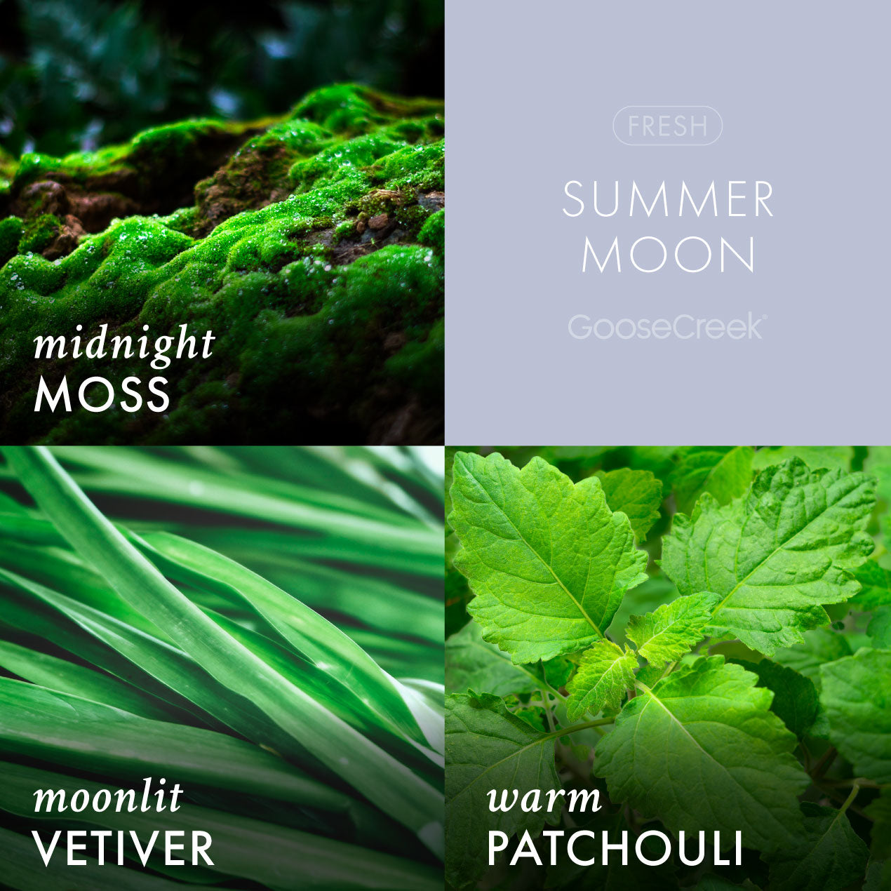 Summer Moon Wax Melt